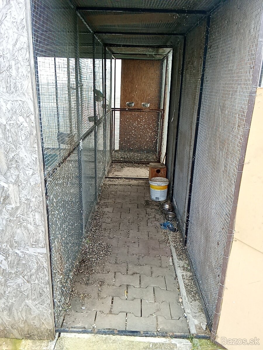 Predám volieru pre vtáky - 3