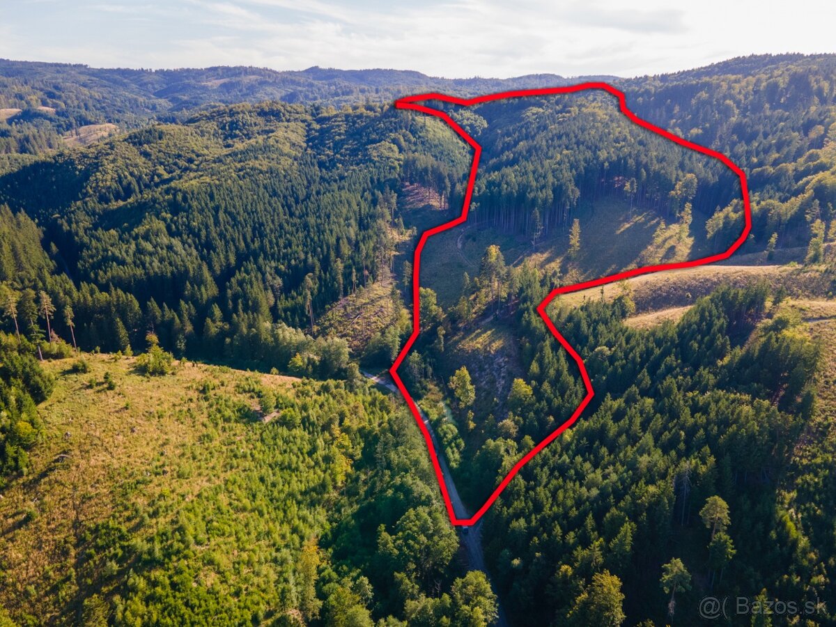 HOSPODÁRSKY LES V OBCI BUDIŠ V OKRESE TURČIANSKE TEPLICE - 3
