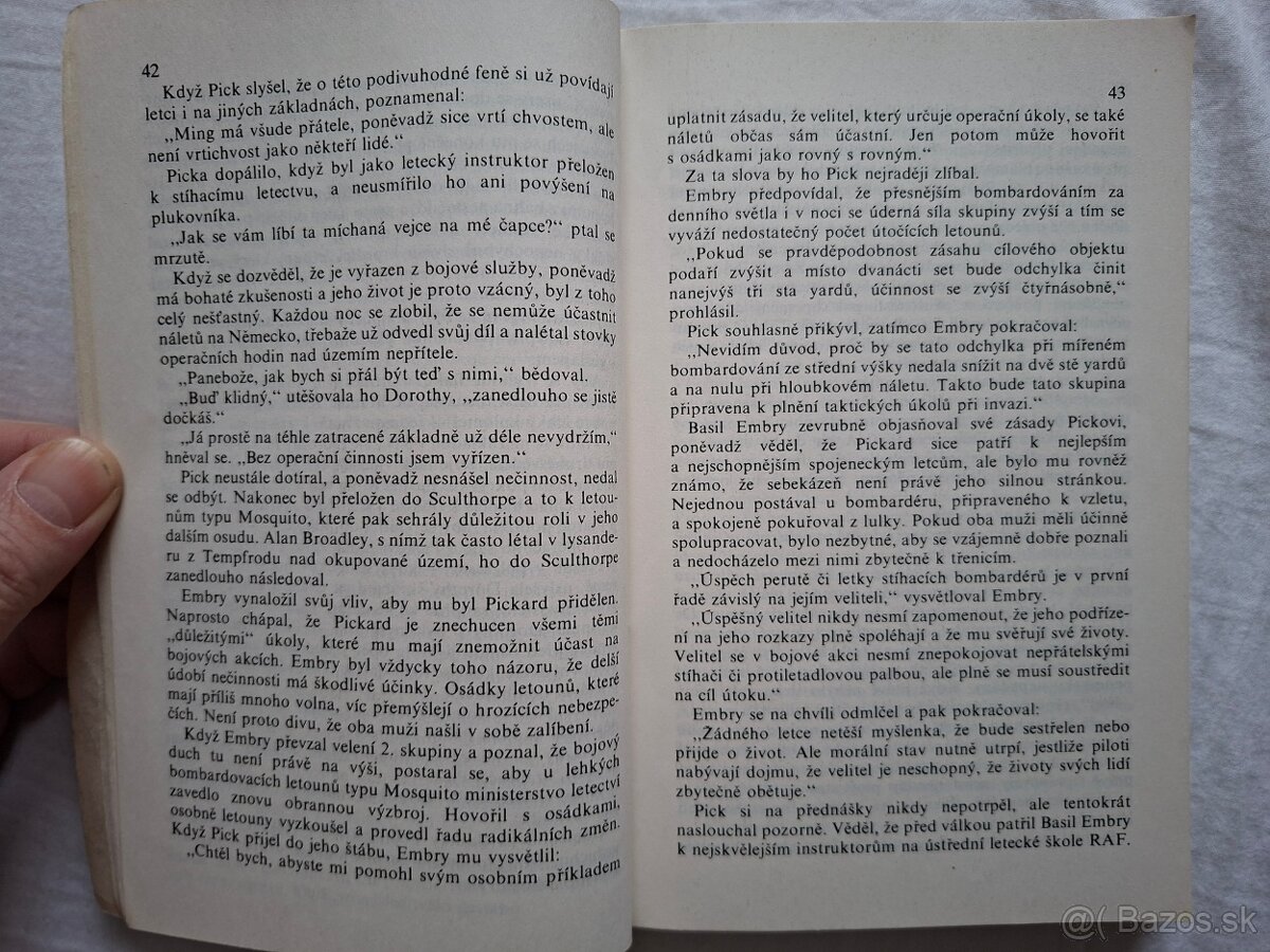 A zdi se hroutily - Jack Fishman - 3