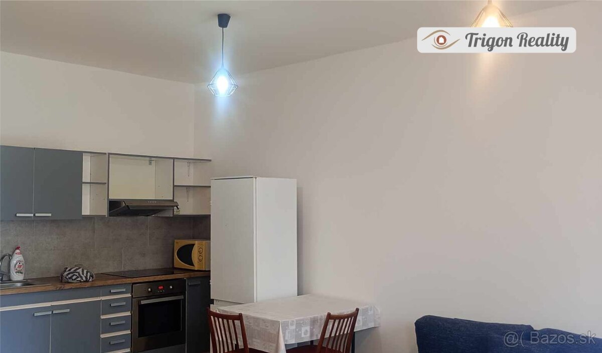 Veľká garzónka v polyfunkčnom objekte - 3