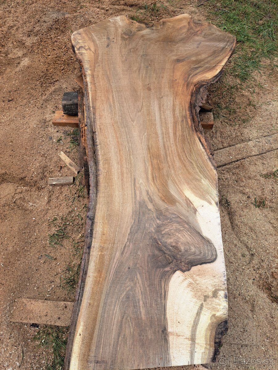 Ponúkam Vám porez kmeňov strov, guľatiny, nadrozmerných kmeň - 3