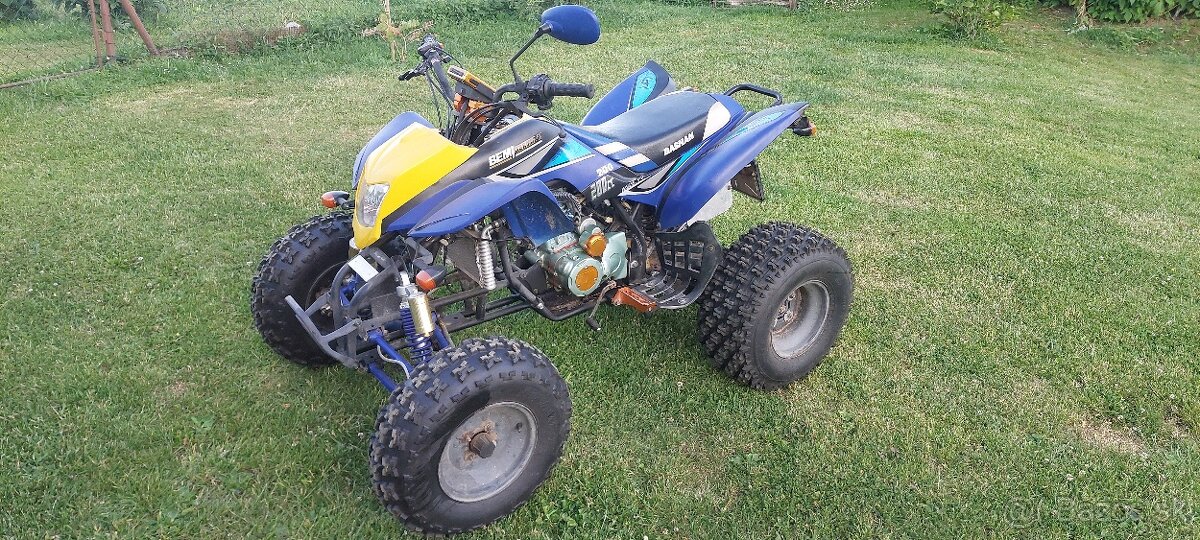 Bashan 200