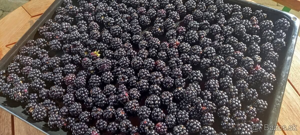 domáce džemy marhuľový, černicový, malinový, slivkový - 3