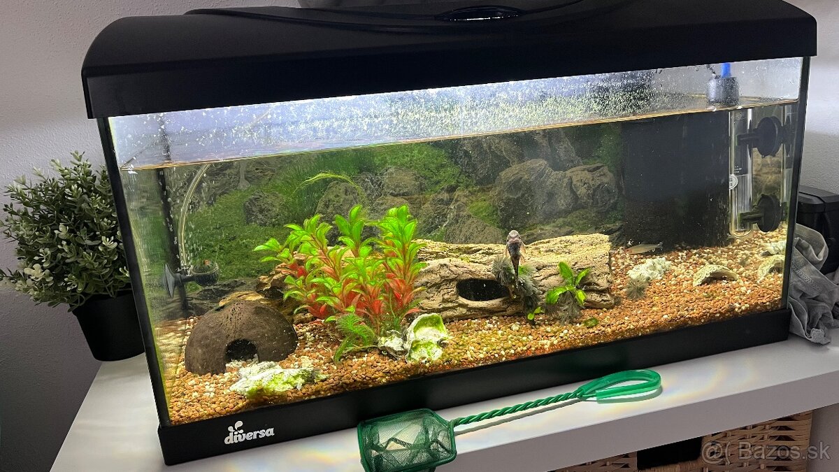 Akvárium s vybavením - 3