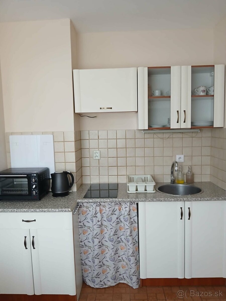 Prenájom 1-izbový byt B.B. - časť Nemce - 3