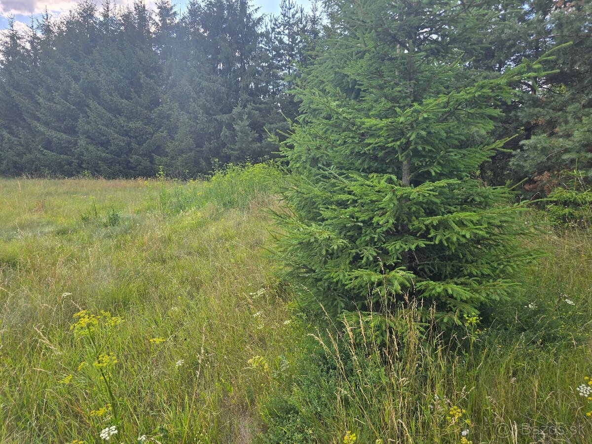 Parádne stavebné parcely pri Váhu - 3