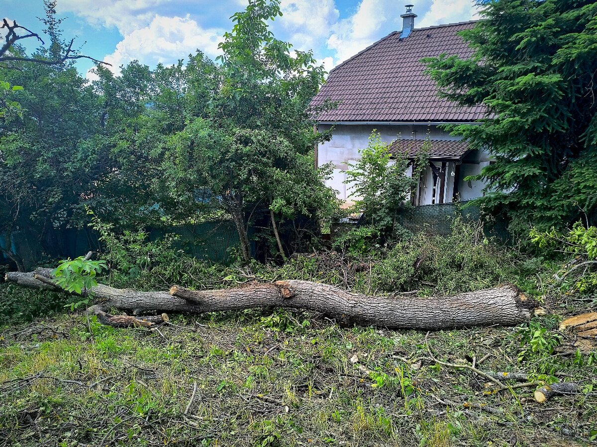 Orechove drevo - 3