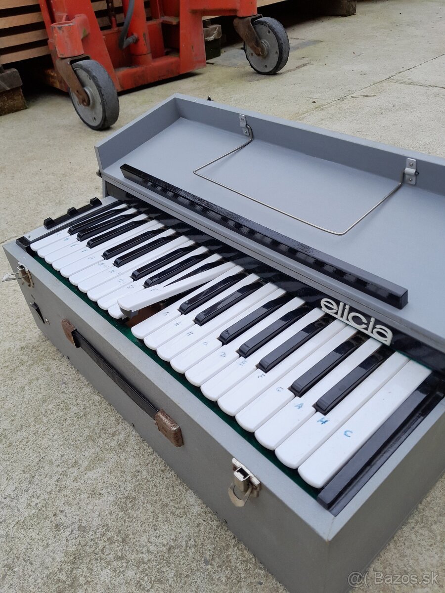 Predám Delicia Miniharmonium - 3