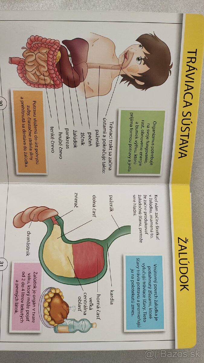 Moja prvá kniha o ľudskom tele - 3