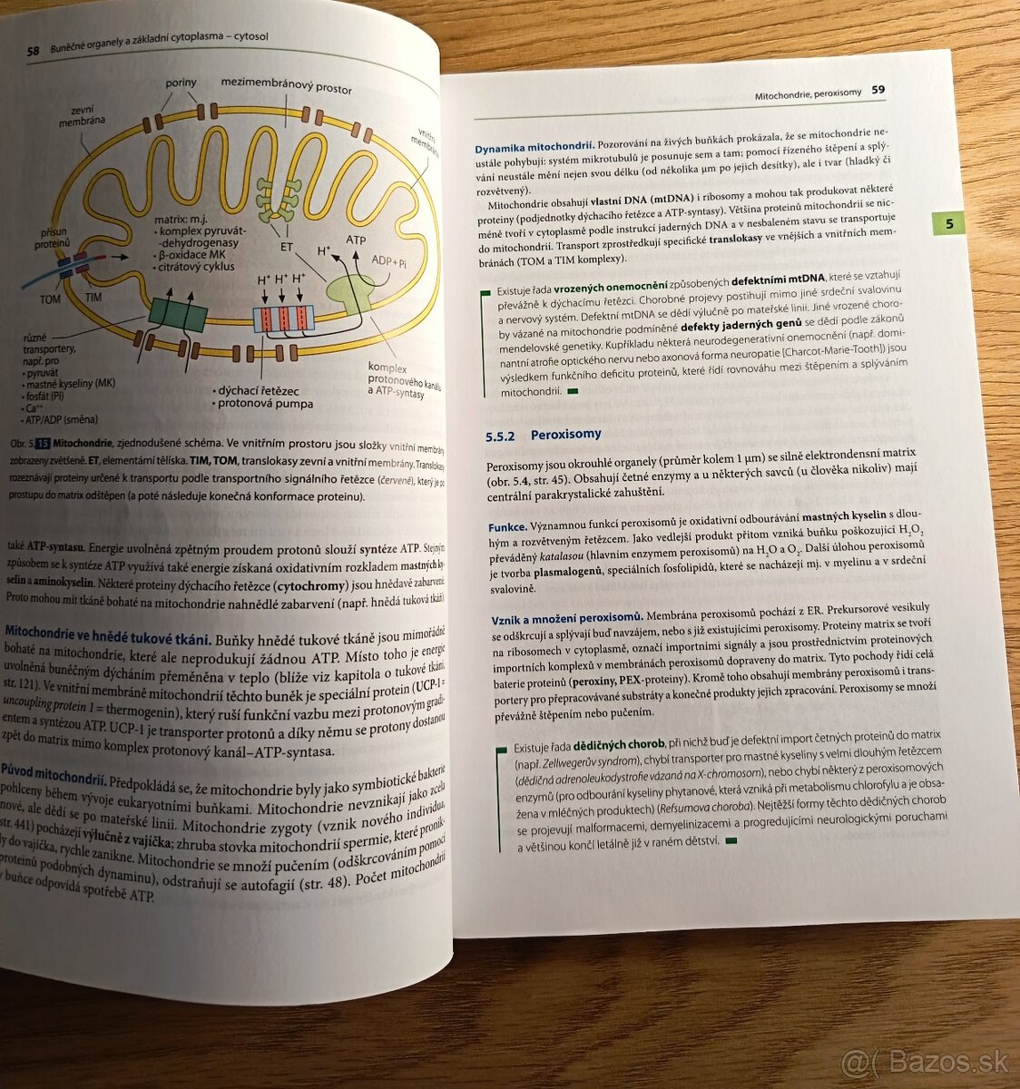 Histologie, Renate Lüllmann- Rauch - 3