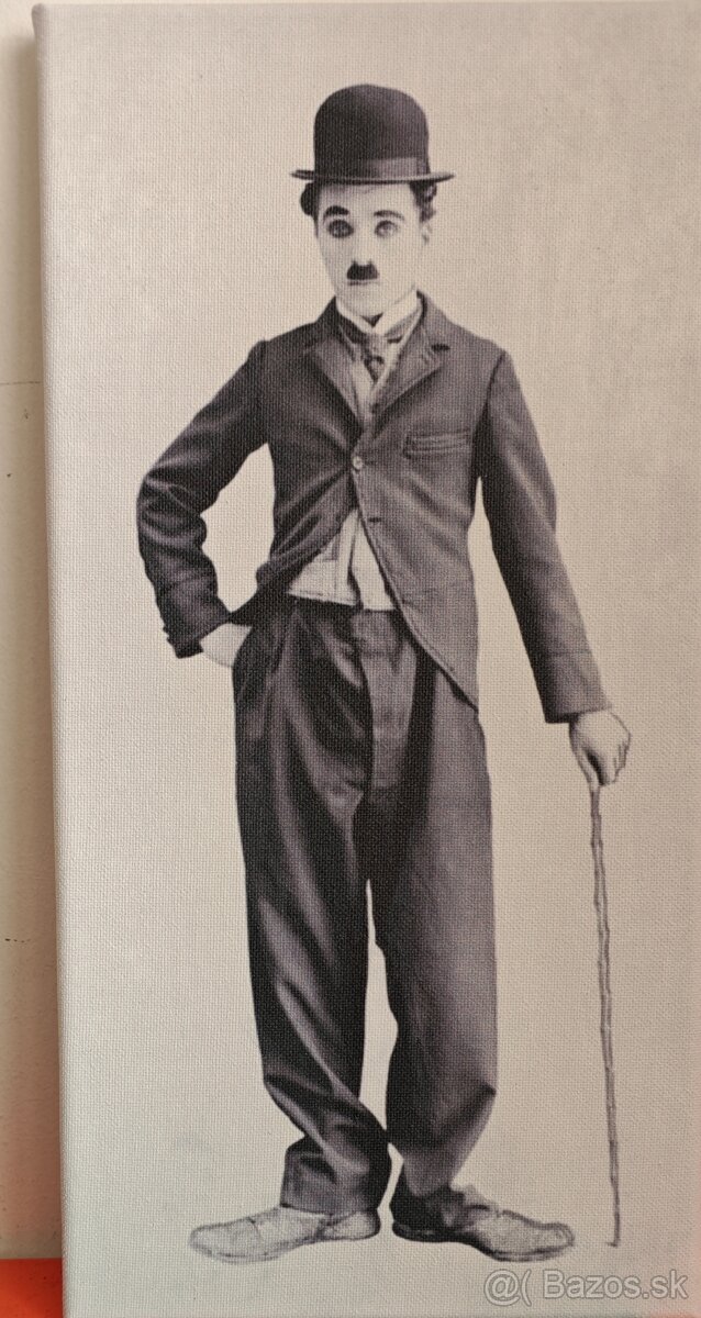 Predám digitalprint obrazy na plátne - 3