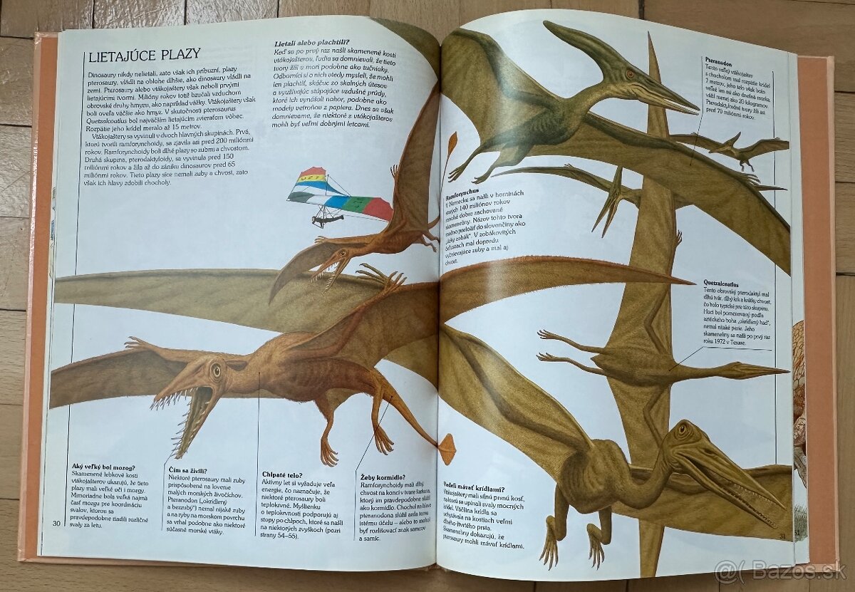 Ako žili dinosaury (Okná do sveta) za 3EUR - 3