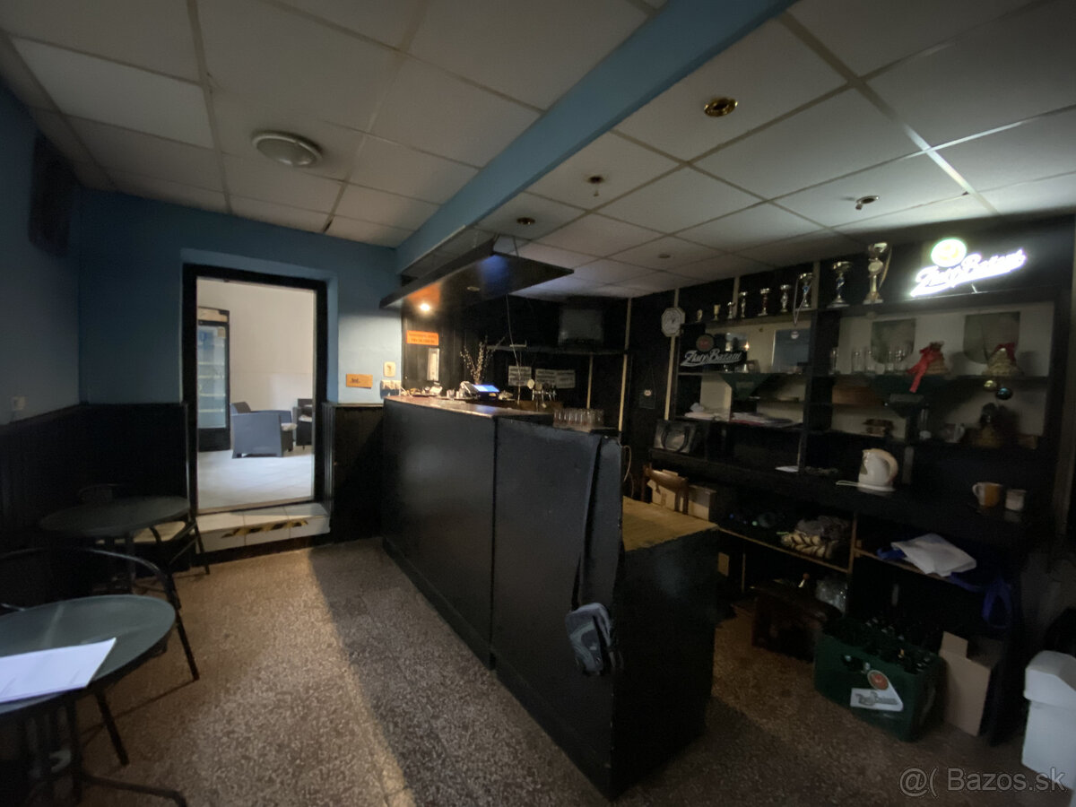 Dom na podnikanie v centre Moldavy - 3