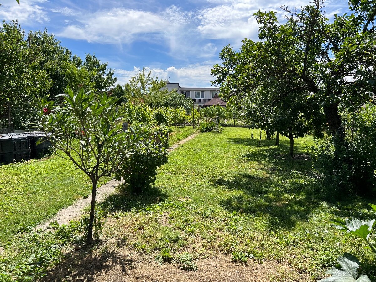 Fotografia 3