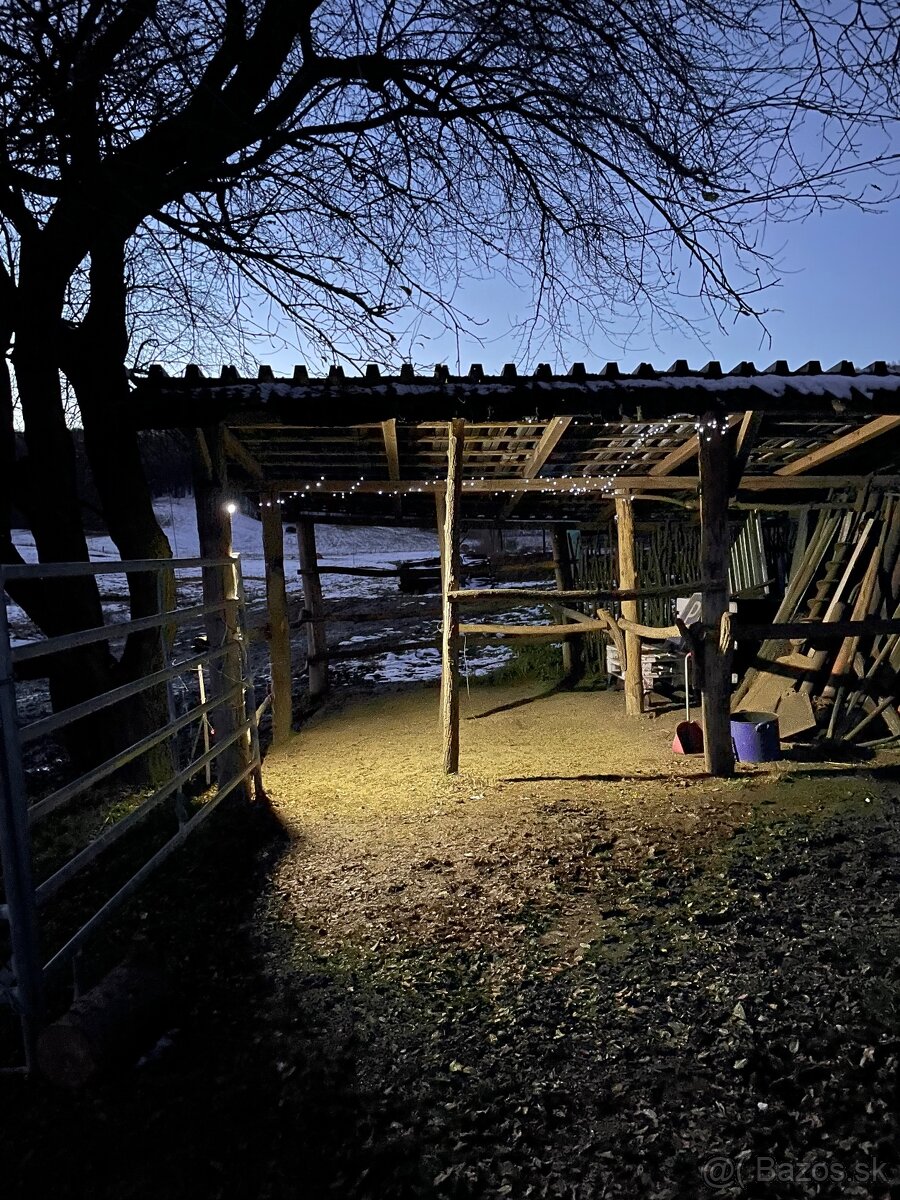 Ustajnenie koní - 3