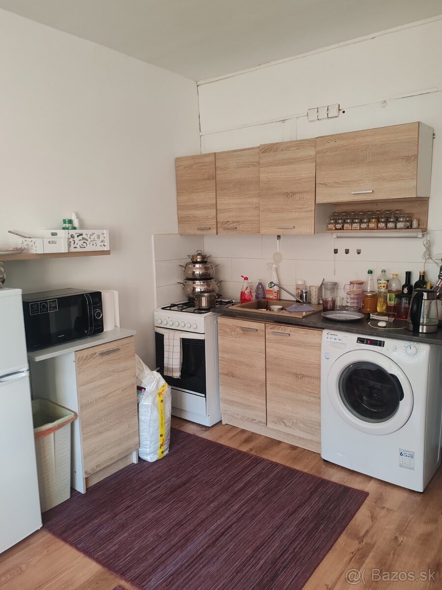 Prenájom 1 izbový byt Ľadoveň - 3