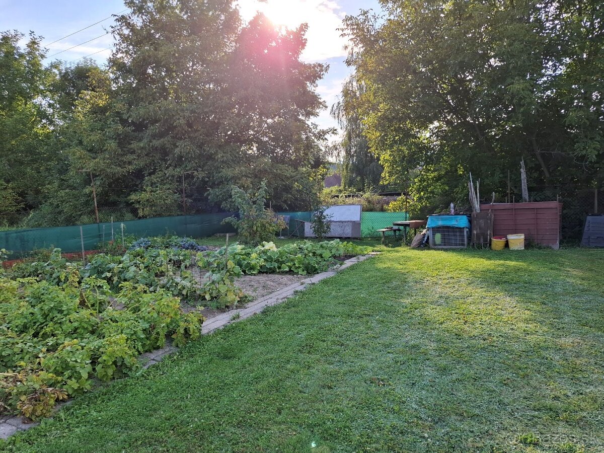 Záhrada - 3