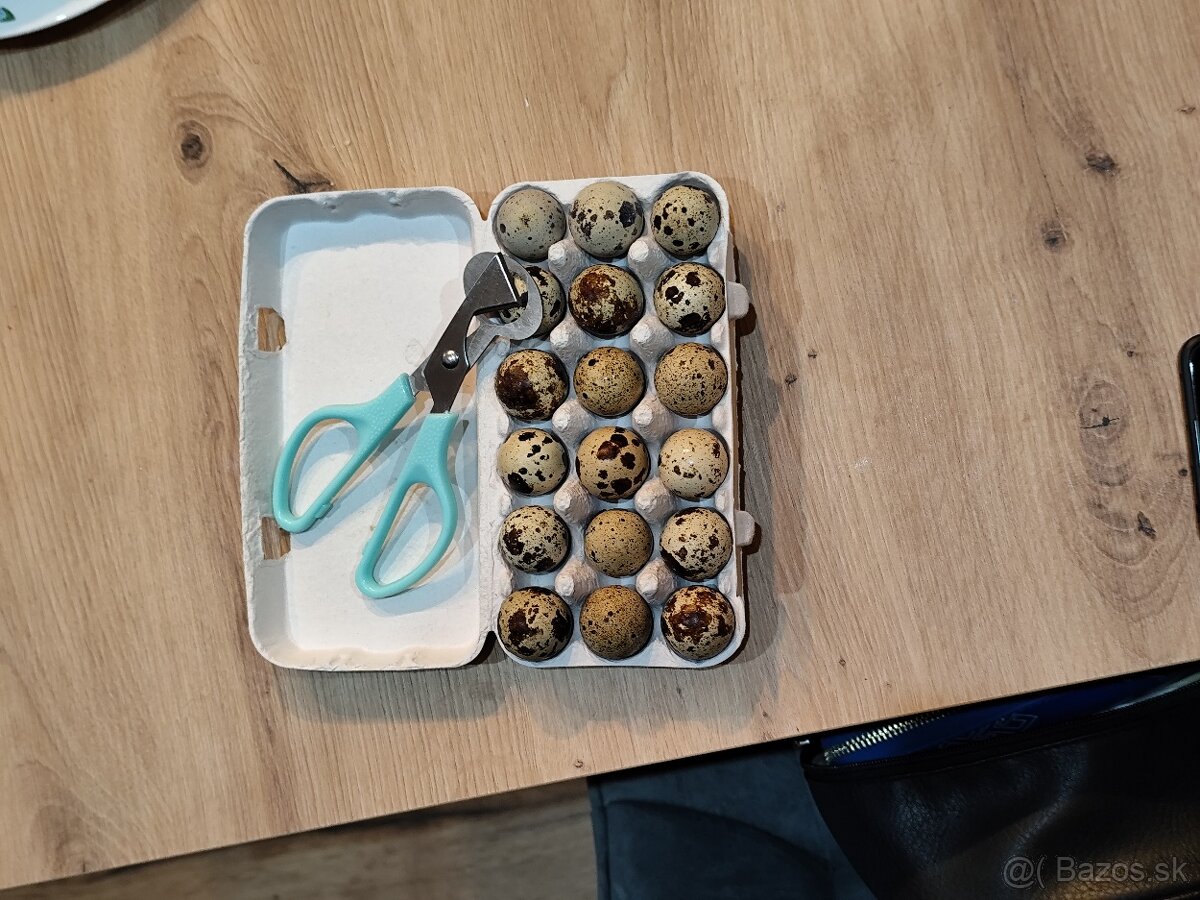 Prepeličie vajíčka - 3