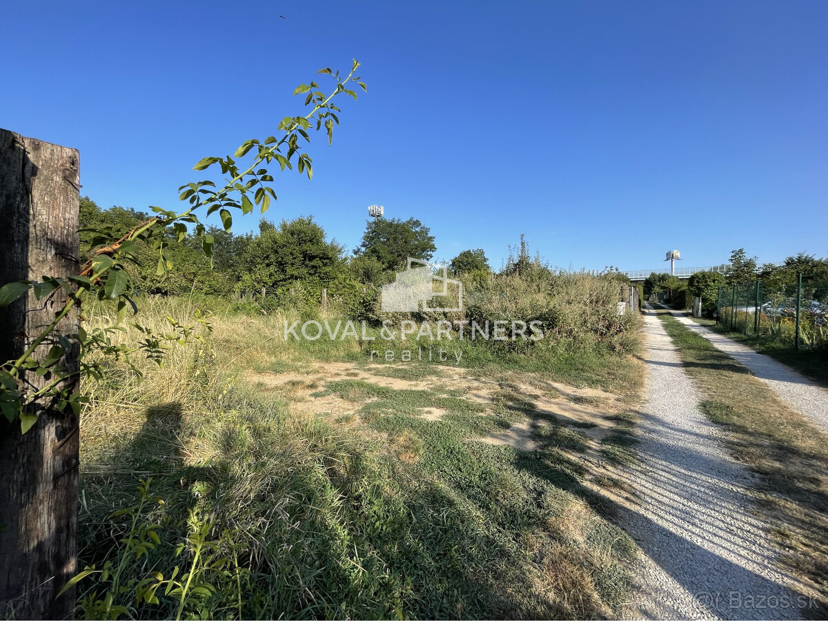 Záhrada v Nitre - v záhradkárskej oblasti - 3