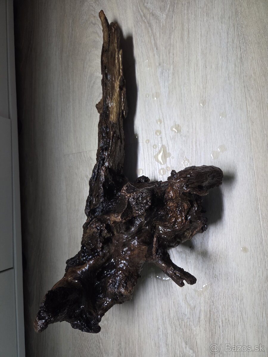 Koreň do akvária / terária - 3