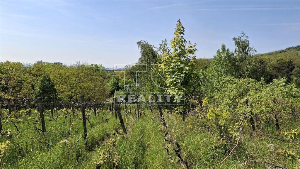 Čarovný rekreačný pozemok 14,9 árov, na hranici... - 3