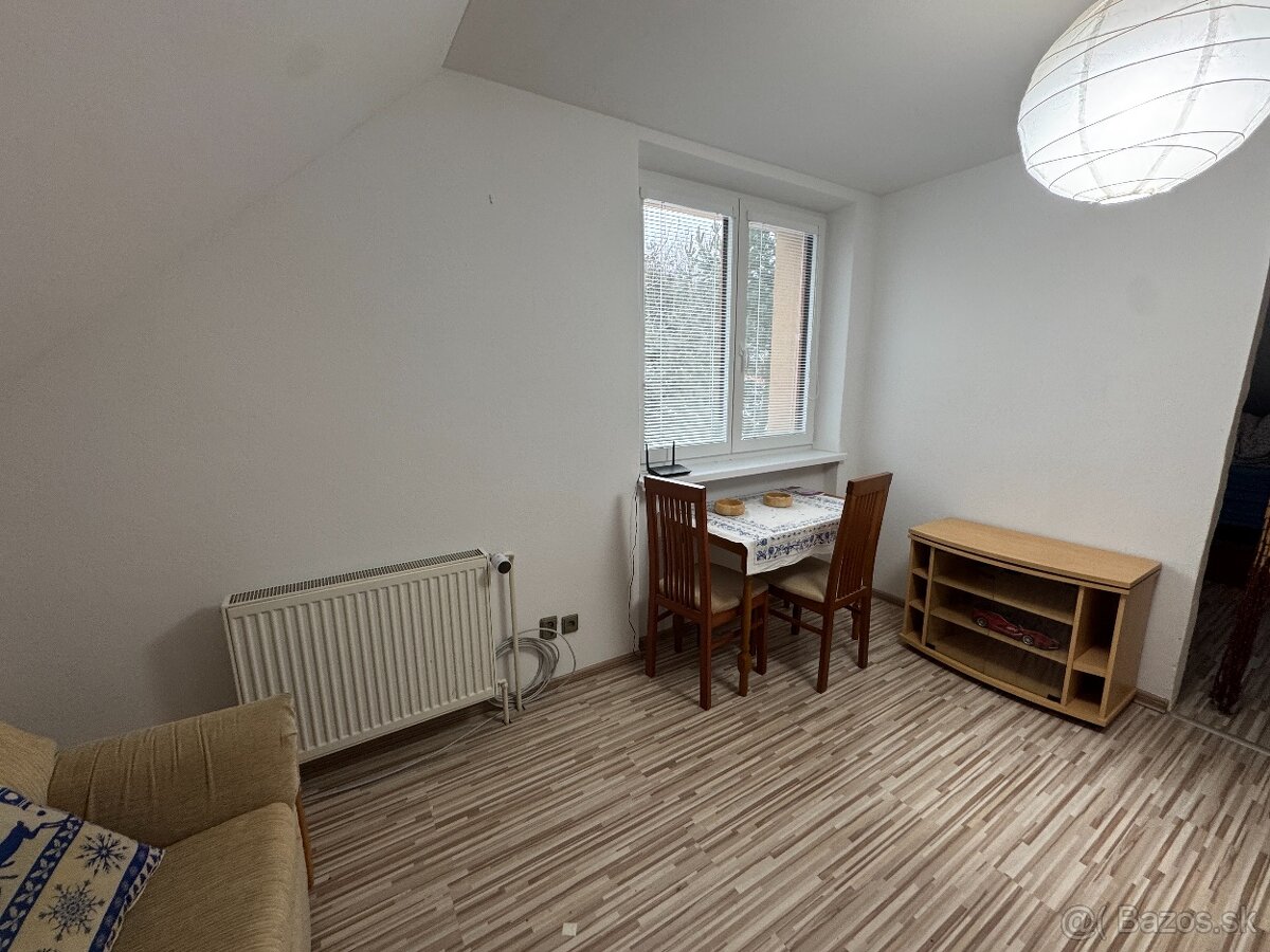 PRENÁJOM, 1-izbový byt - 3