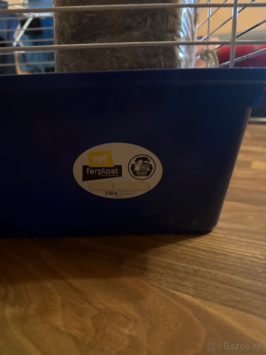 Klientka pre morciatka/ králika. - 3