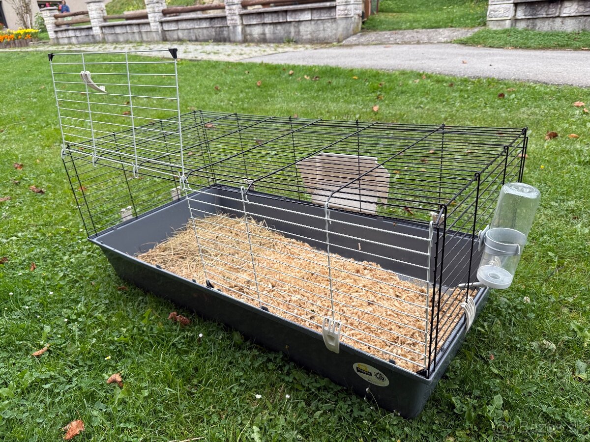 Dve morské prasiatka + príslušenstvo - 3