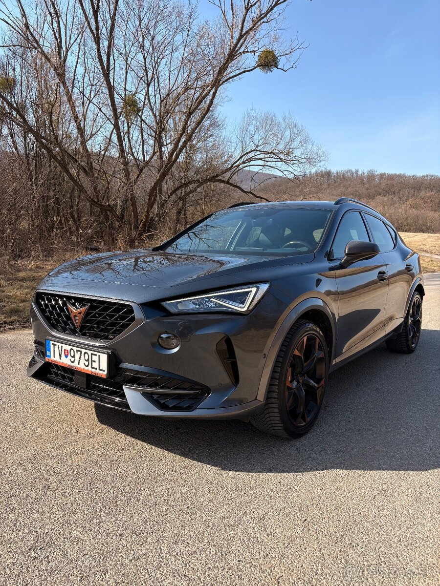 CUPRA FORMENTOR 2.0 TSI 310K 4DRIVE DSG VELOZ - 3