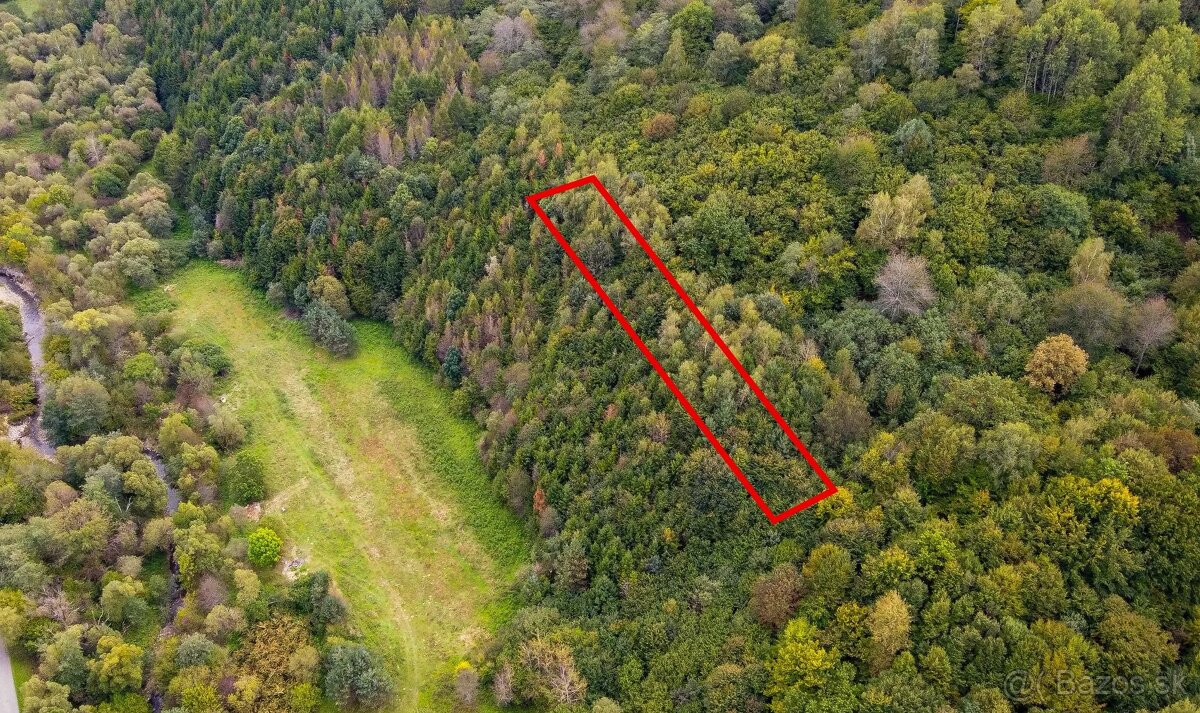 Dúbrava - 1600 m2 LES v podiele 1/1 - 3
