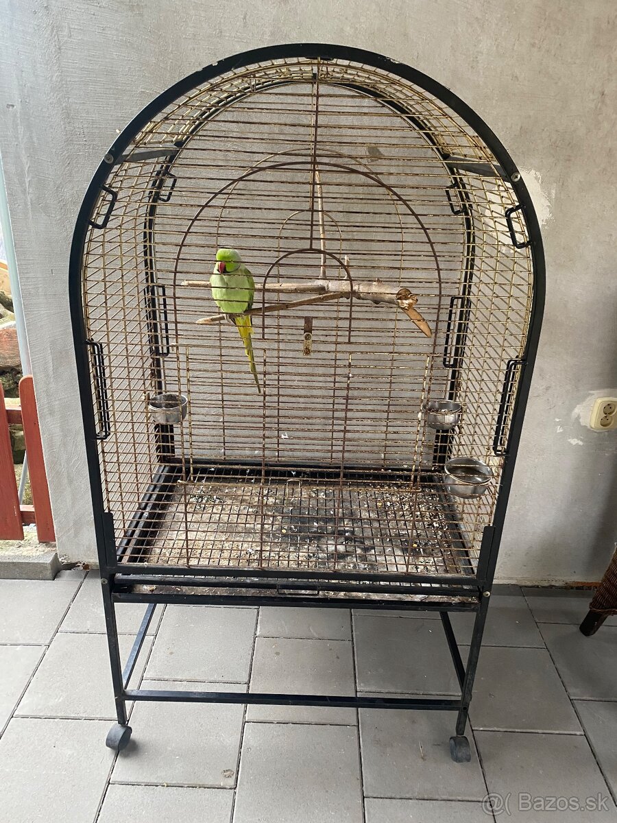 Alexander malý Samec (rozprávajúci) + klietka - 3