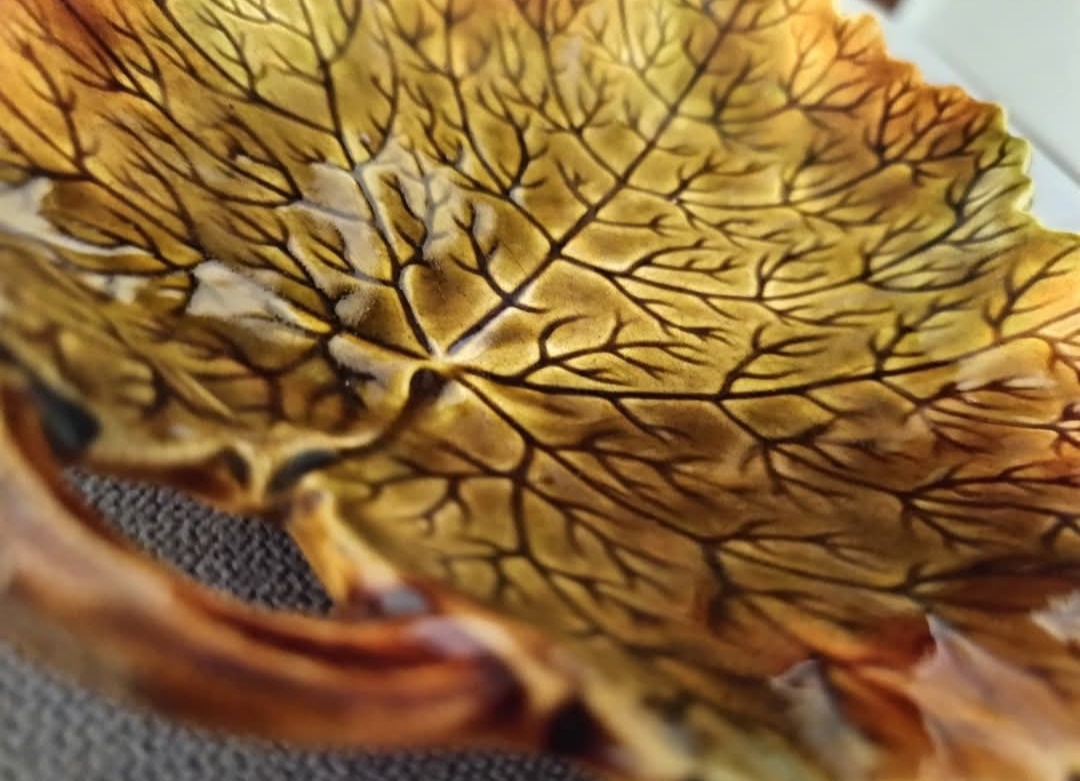 Na predaj: Tanierik Schütz Cilli (17 cm) - 3