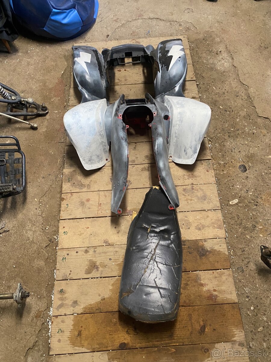 Bashan 200