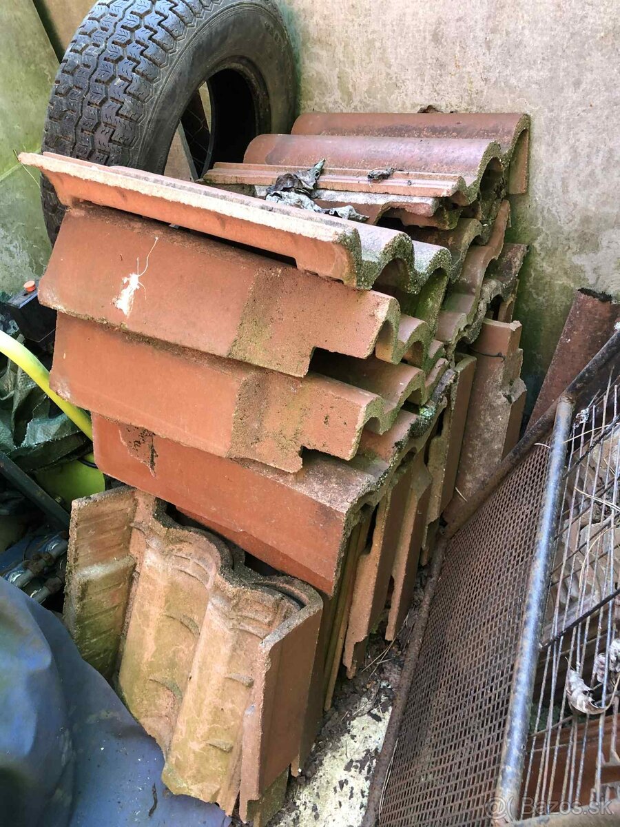 predam skridlu mediterran - 3