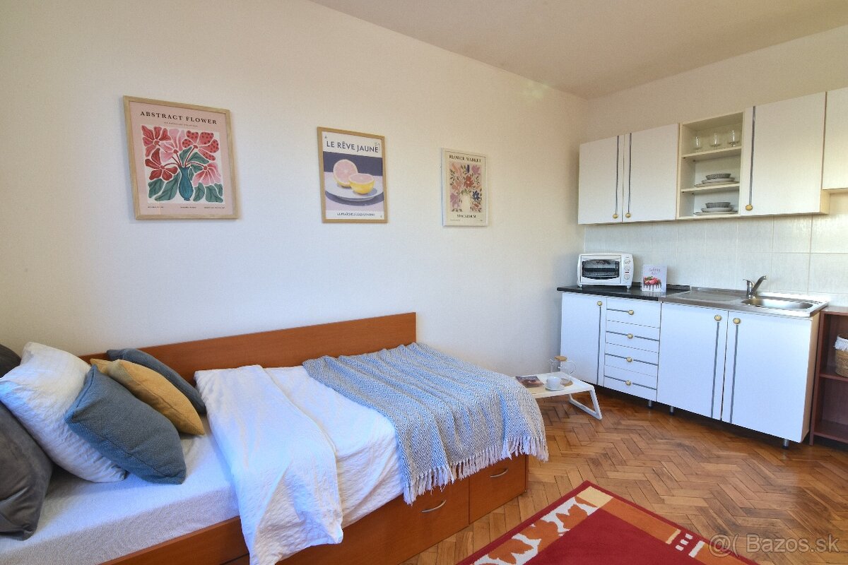 Garsónka s pivnicou v centre mesta Levice - 3