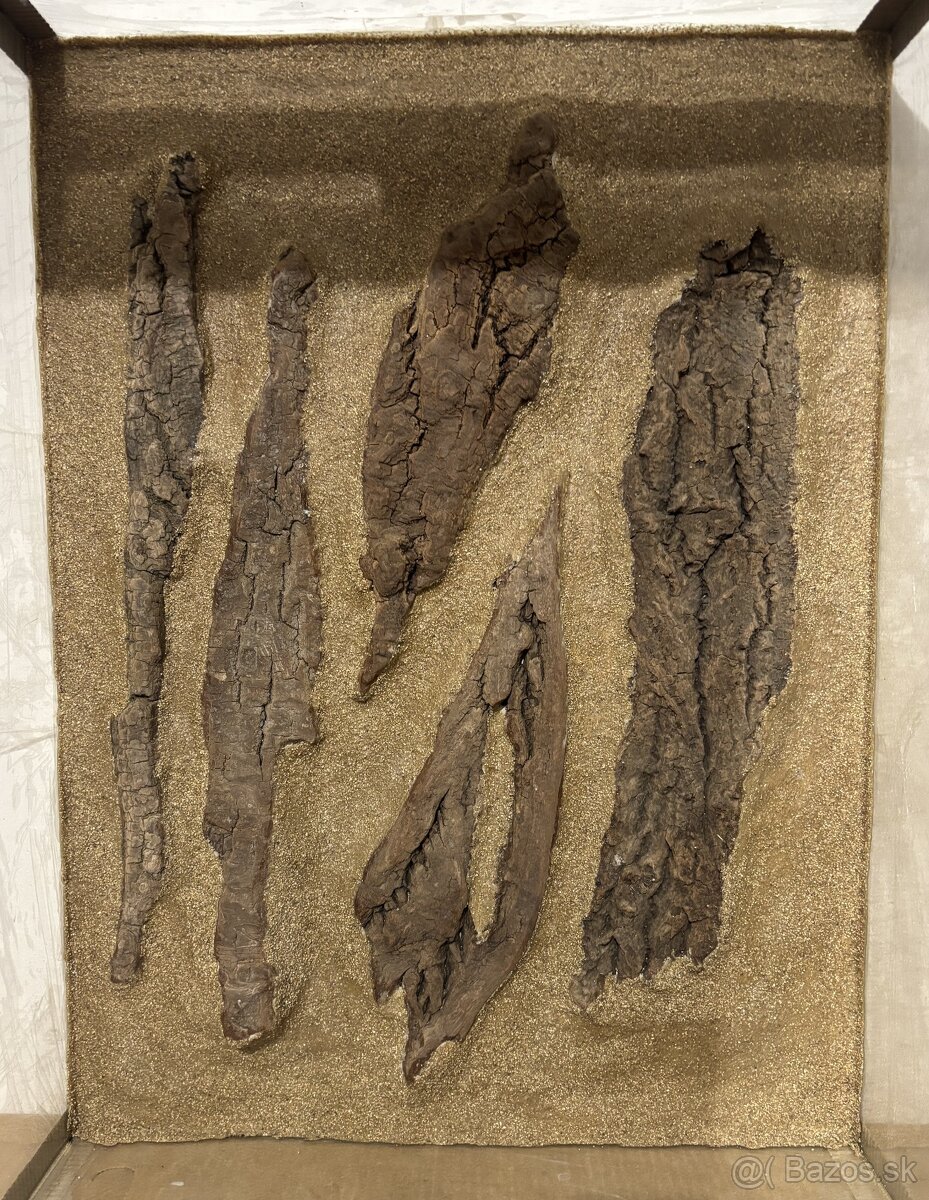 Terárium 60x40x80 s 3D stenou - 3