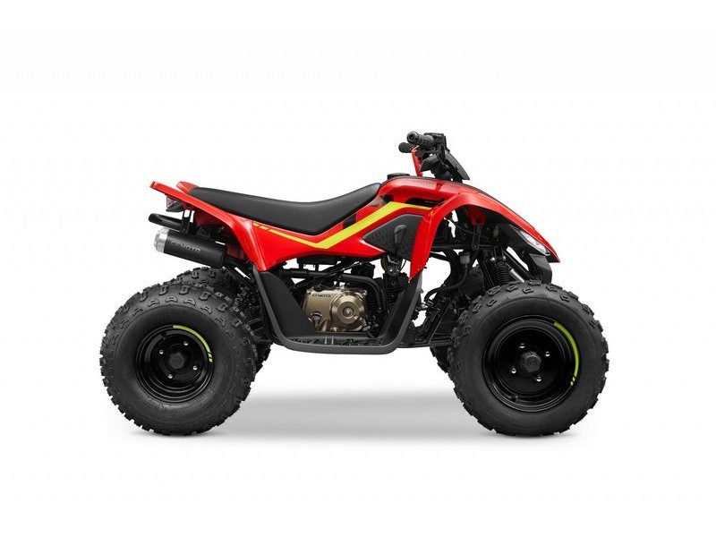 Štvorkolka CF Moto gladiator X110LE