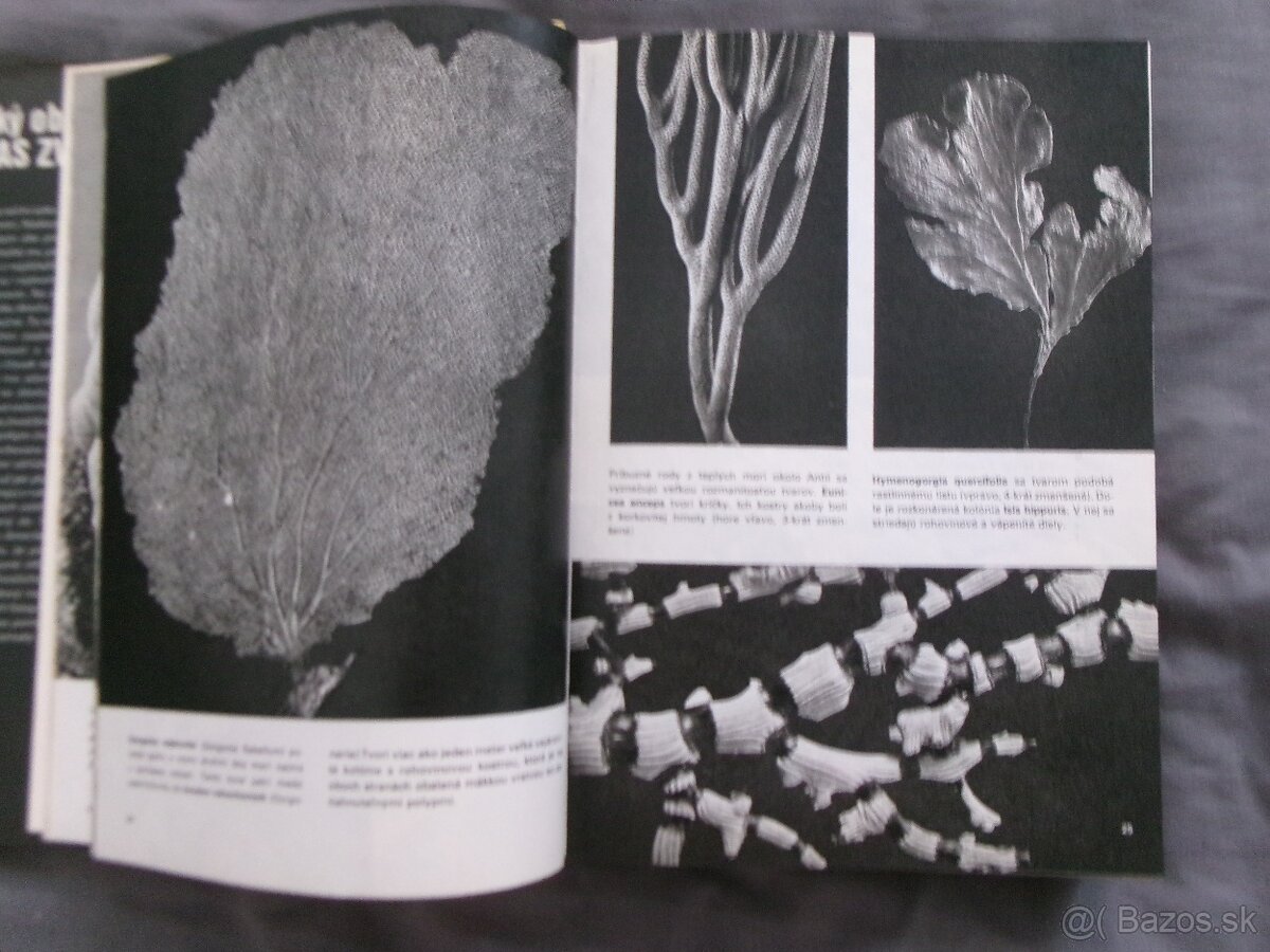 Veľký obrazový atlas zvierat - Václav Jan Staněk. - 3