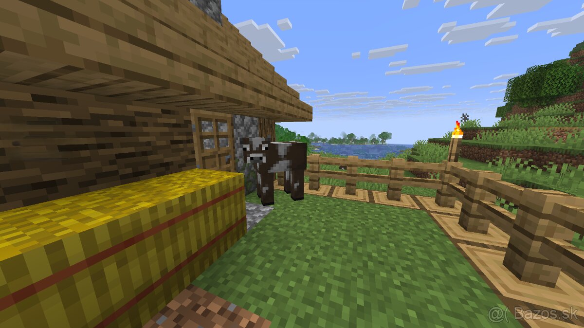 Predam Kockatu Kravu - 3