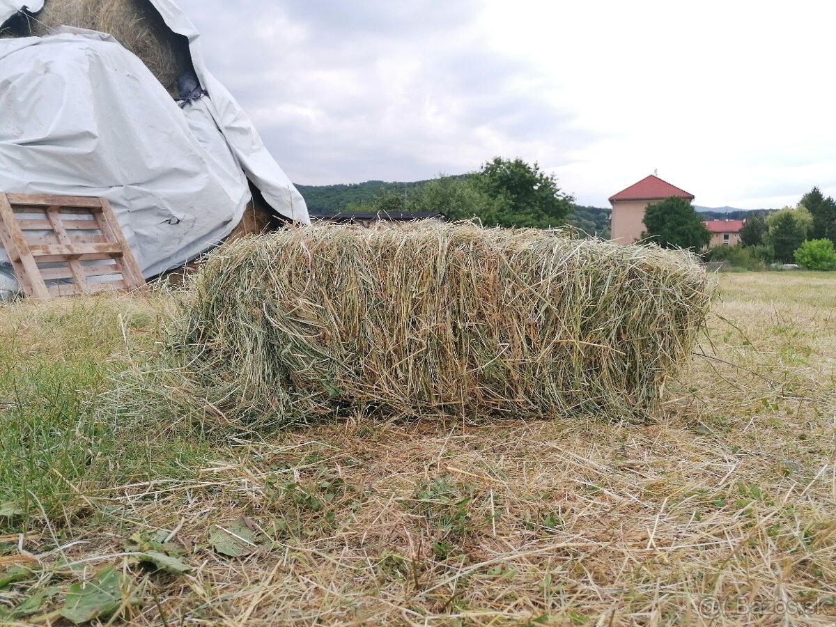 Predám balíkované seno - 3