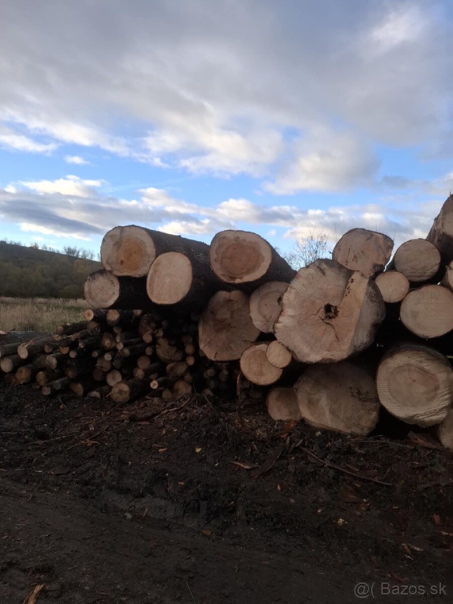 Predám palivové drevo - 3