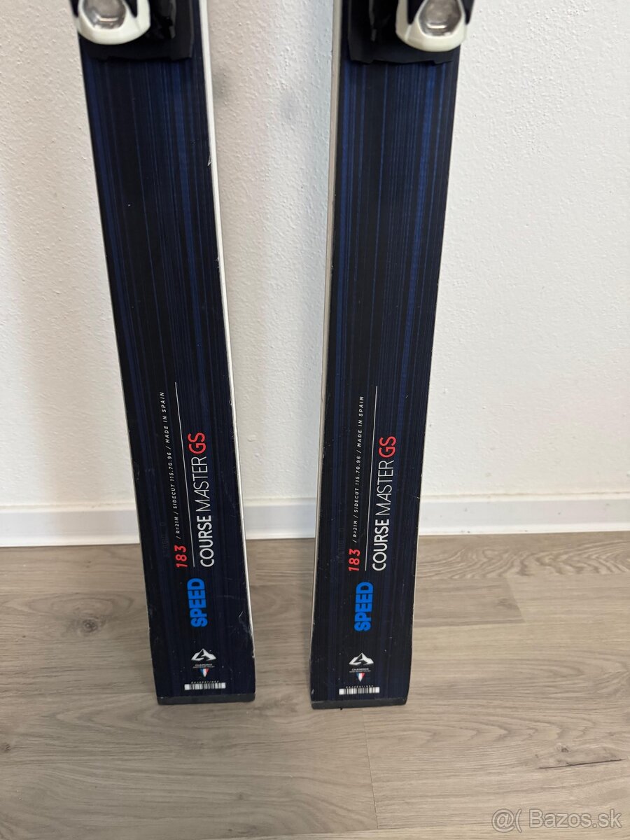 Dynastar Speed Course Master GS R22 - 3