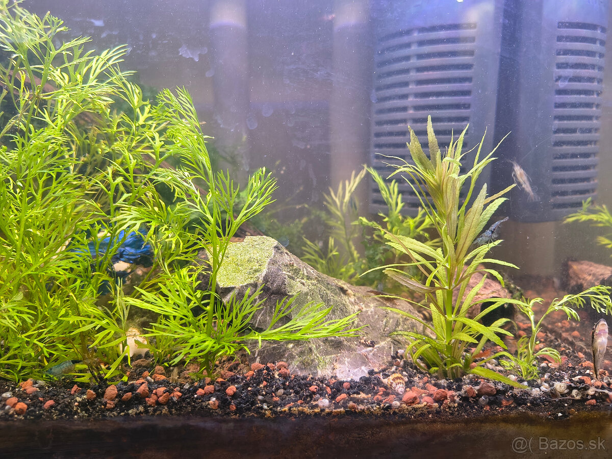 Akvárium Optiwhite sklo 20l - 3