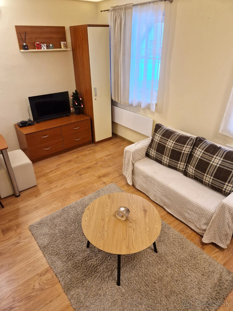 TOP cena 2-izbový BYT na PREDAJ vedla Donovalkova , s park - 3