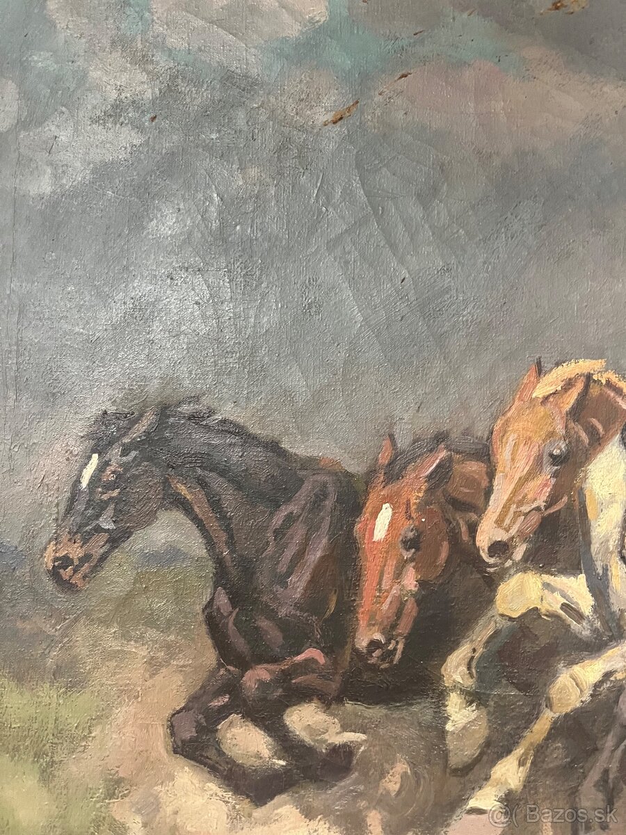 Čikoš so stádom koní - 3