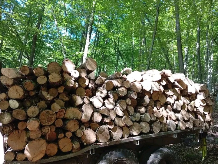Palivové drevo - 3