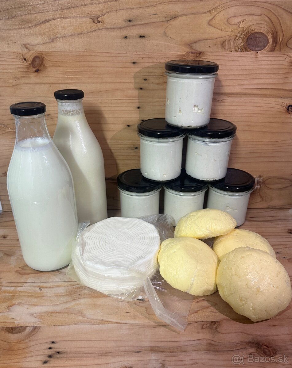 Jersey A2A2 mliečko 🥛 - 3