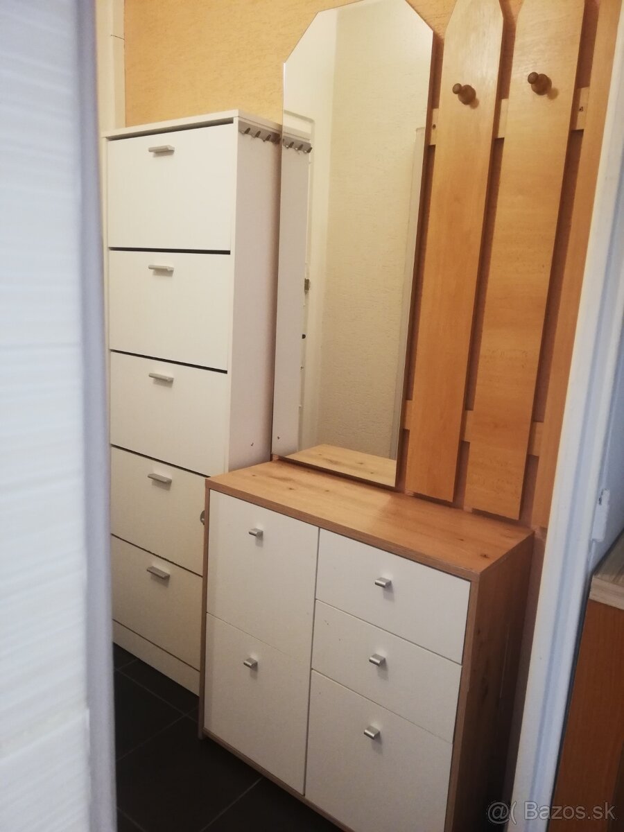 1 izbovy byt - 3