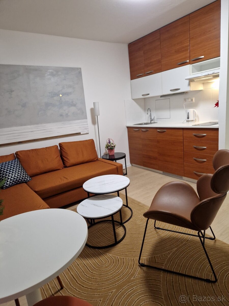 Utulny 1-izb byt blizko centra - 3