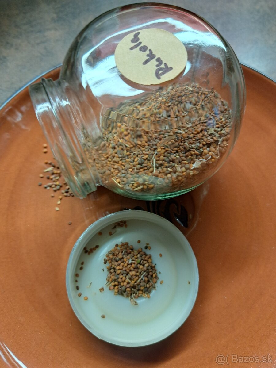 Semená zeleniny a ovocia - 3